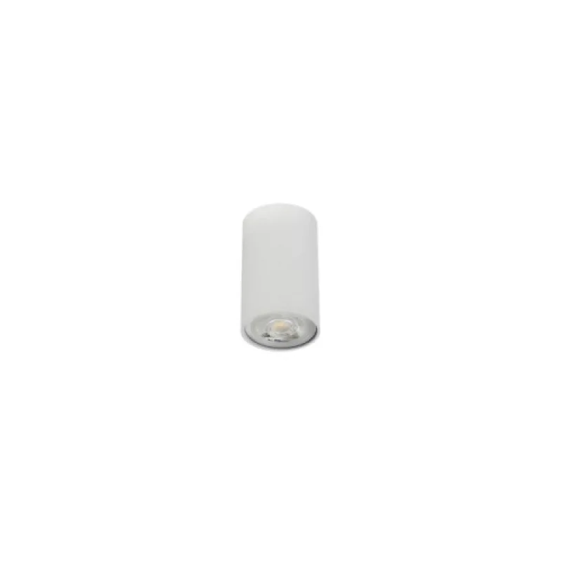Outdoor Downlights Axis... 01-2147 – Smarter downlight for outdoor mounting in white matt, 1X35W, IP20