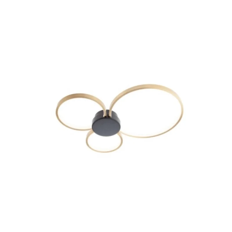LED Ceiling Lights Atom 01-3105 – Smarter LED ceiling light in matt black, 20W, 3000K, IP20