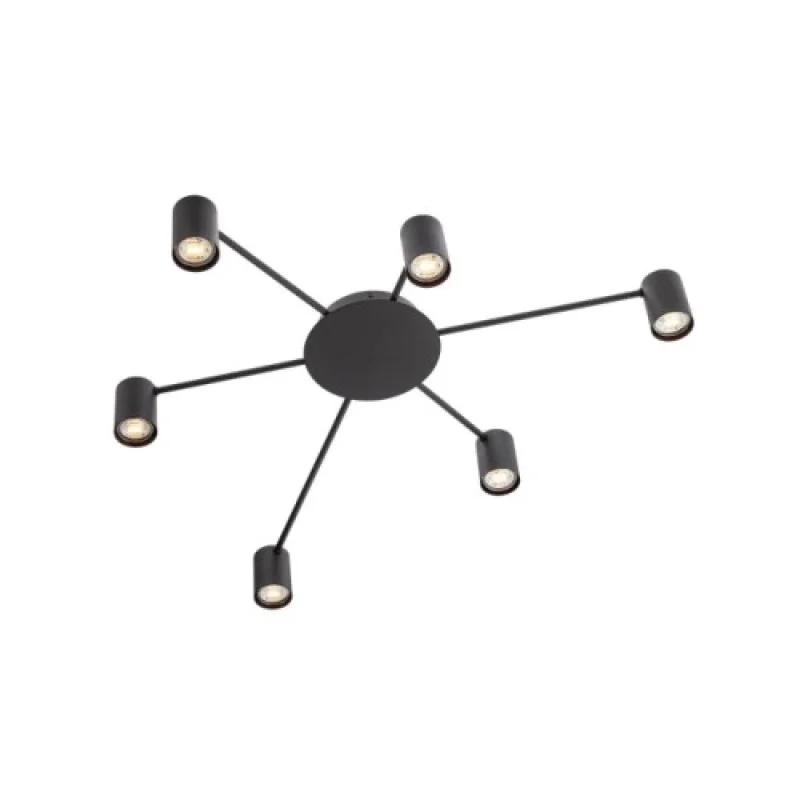 Ceiling Lights Noa 01-4052 – Smarter ceiling light in matt black, 6x10W, IP20
