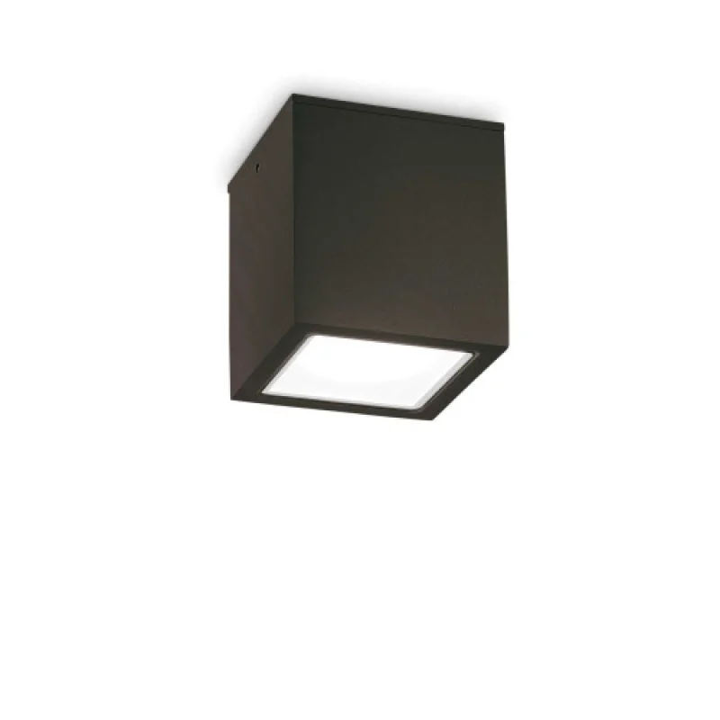 Techo PL 251530 – Ideal Lux facade downlight for outdoor mounting in black, 1X20W, IP54