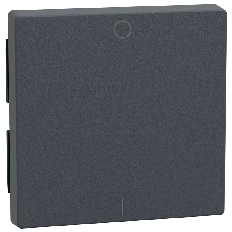 Schneider Electric Face plate for double-pole switch symbol O/I Anthracite System M - Schneider Electric Merten System M 433214