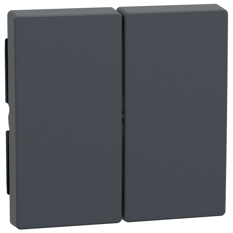 Schneider Electric Face plate for double switch/push button Anthracite System M - Schneider Electric Merten System M 433514