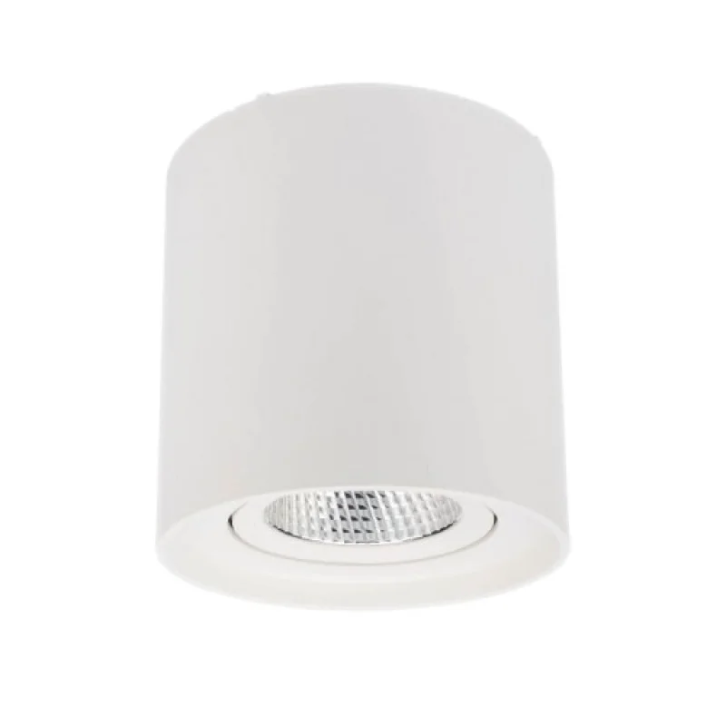 Луни за външен монтаж Pc 70432 – Smarter LED луна за външен монтаж в матово бял, 10W, 3000K, IP20