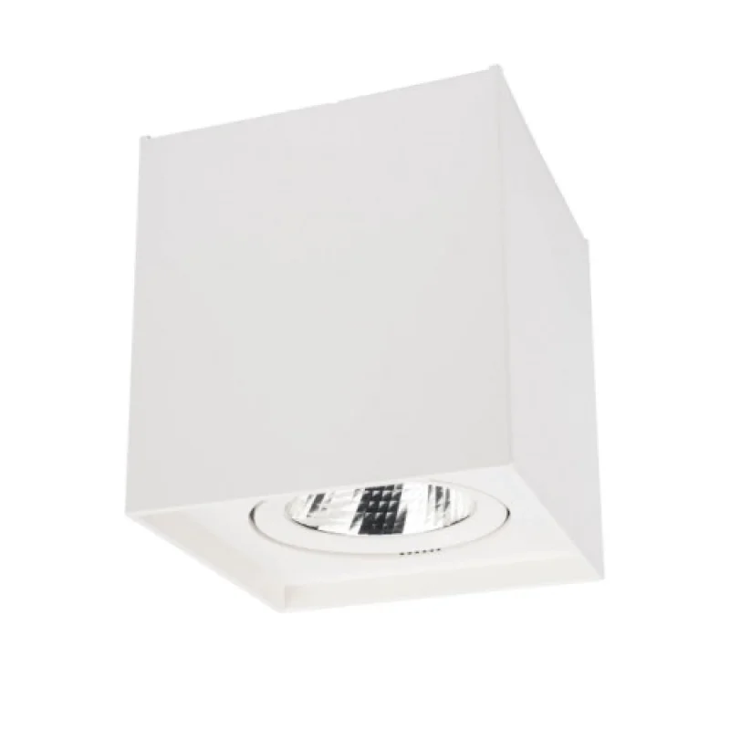 Outdoor Downlights Pc 70438 – Smarter LED downlight for outdoor mounting in matt white, 10W, 3000K, IP20