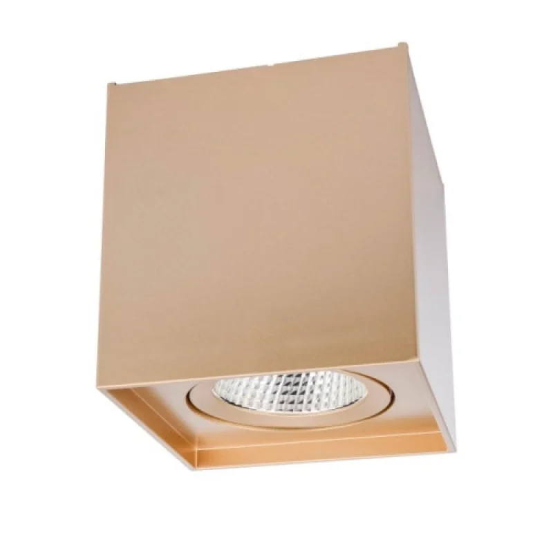 Outdoor Downlights Pc 70441 – Smarter LED downlight for outdoor mounting in matt gold, 10W, 4000K, IP20
