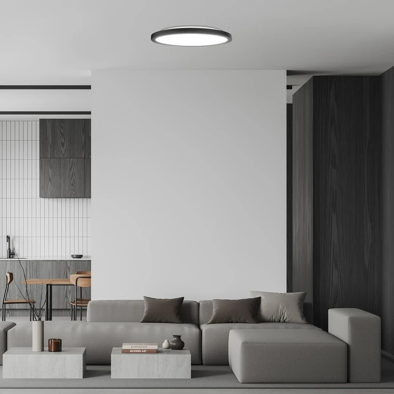 Gonzalo – LED плафон в черно с бял абажур, Ø400мм, 36W, 3000-6000K
