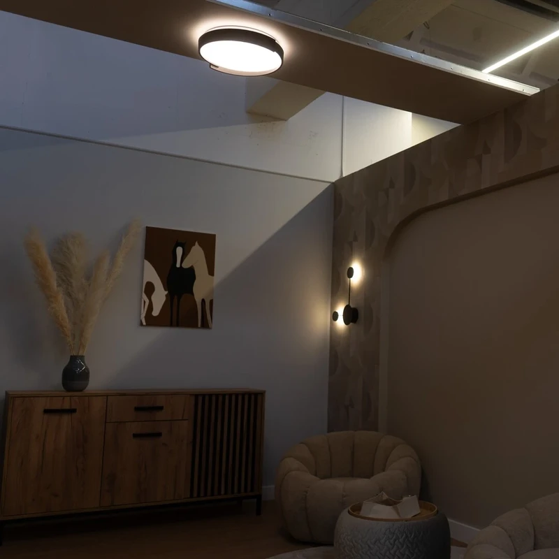 Laleh – LED плафон в черно с бял абажур, Ø400мм, 24W, 3000-6500K