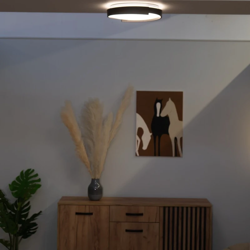 Laleh – LED плафон в черно с бял абажур, Ø400мм, 24W, 3000-6500K