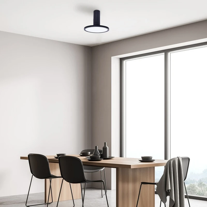 Ovidia – LED плафон за повърхностен монтаж в черно/бяло, Ø200мм, 20W, 3000K