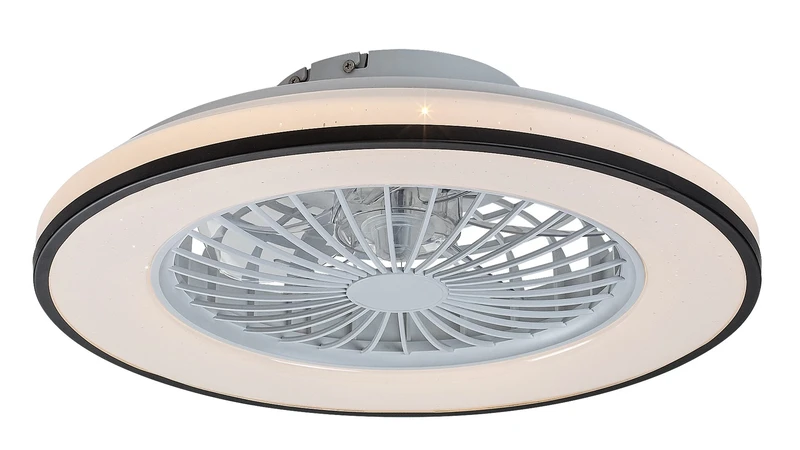 LED Ceiling Lights Dalfon2 – LED ceiling light with fan in black/white, Ø485mm, 48W, 3000-6500K