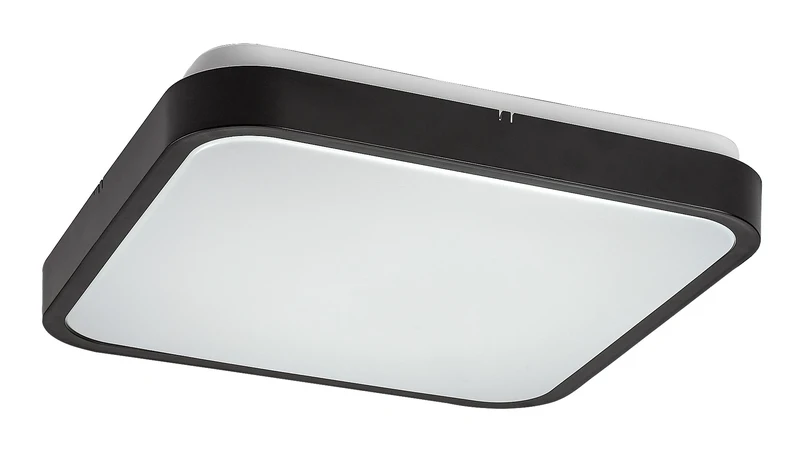 LED Panels Alenzo – LED panel in black with white diffuser, 290×290mm, 24W, 3000-6000K, IP44