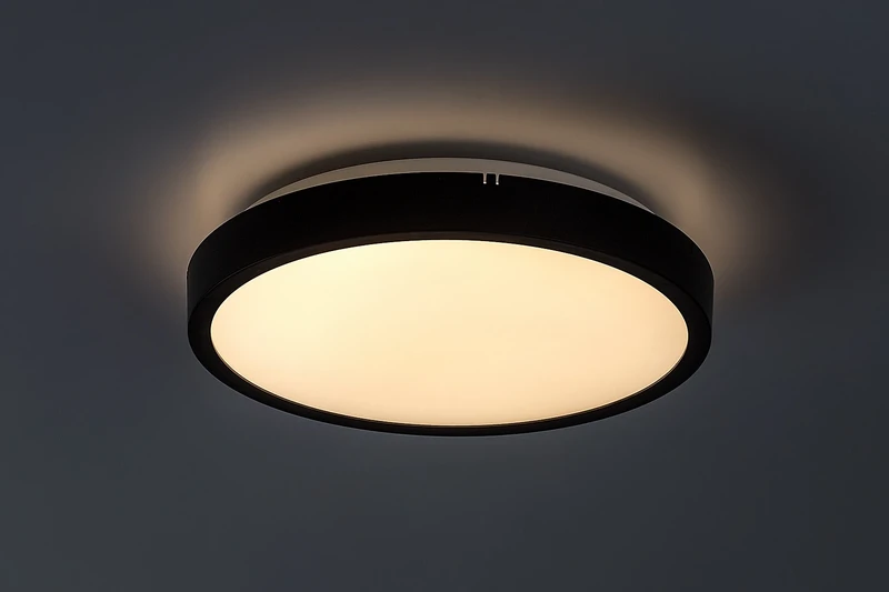 Alenzo – LED панел в черно с бял абажур, Ø255мм, 12W, 3000-6000K, IP44