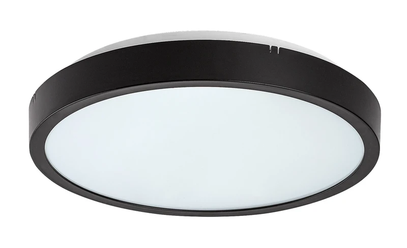 LED панели Alenzo – LED панел в черно с бял абажур, Ø255мм, 12W, 3000-6000K, IP44