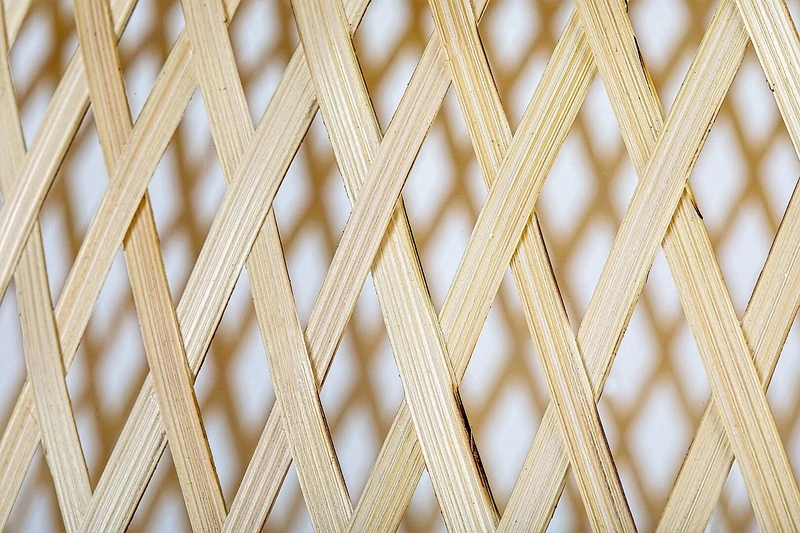 Rattan