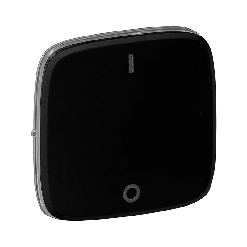 Plate for double-pole switch Black - Legrand Valena Allure 755128