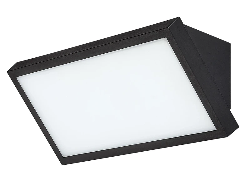 Rapla 2 – LED външна стенна лампа в черно/бяло, 265×110мм, 18W, 2700-6500K, IP65