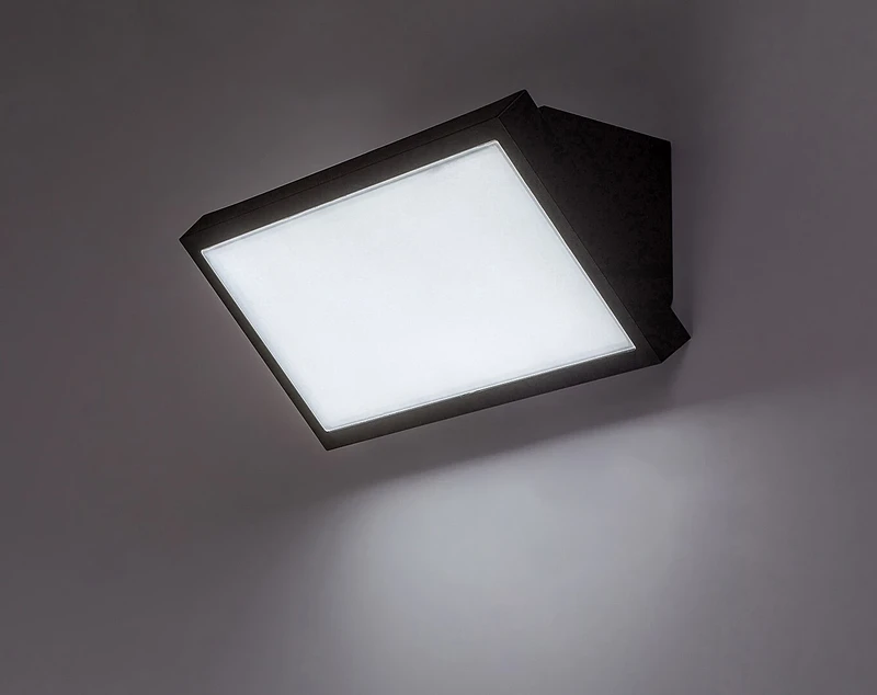 Rapla 2 – LED външна стенна лампа в черно/бяло, 265×110мм, 18W, 2700-6500K, IP65