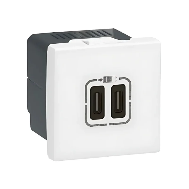 Legrand Outlet 2x USB type C+C 15W 3A 2M White - Legrand Mosaic 77590