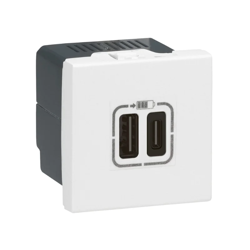 Legrand Outlet 2x USB type A+C 15W 3A 2M White - Legrand Mosaic 77592