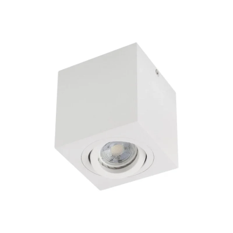 Луни за открит монтаж Xbrix BX01MWH – Arelux луна за външен монтаж в бял, 1X50W, IP20