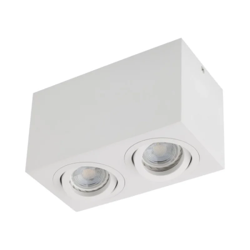 Surface-Mounted Downlights Xbrix BX02MWH – Arelux downlight for outdoor mounting in white, 2X50W, IP20