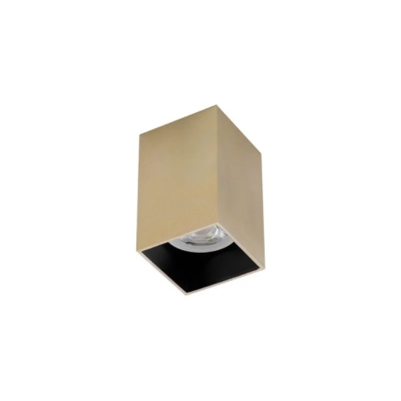 Луни за открит монтаж Xcard CD01SGD – Arelux луна за външен монтаж в матиран месинг, 1X50W, IP20