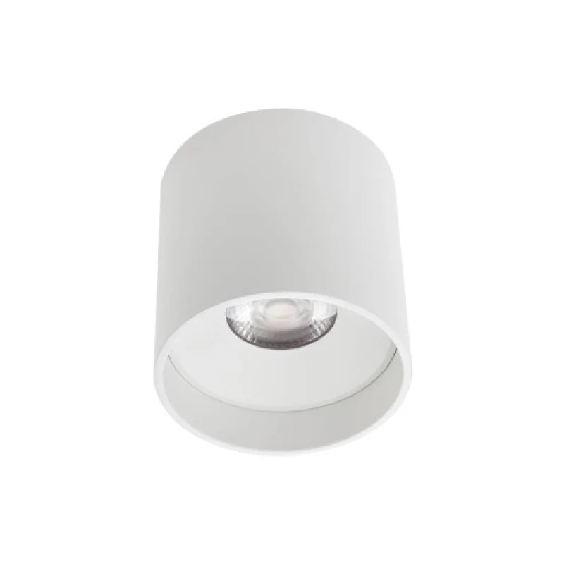Surface-Mounted Downlights Xcore CRR02NWMWH – Arelux LED downlight for outdoor mounting in white, 1X18W, 4000K, IP20