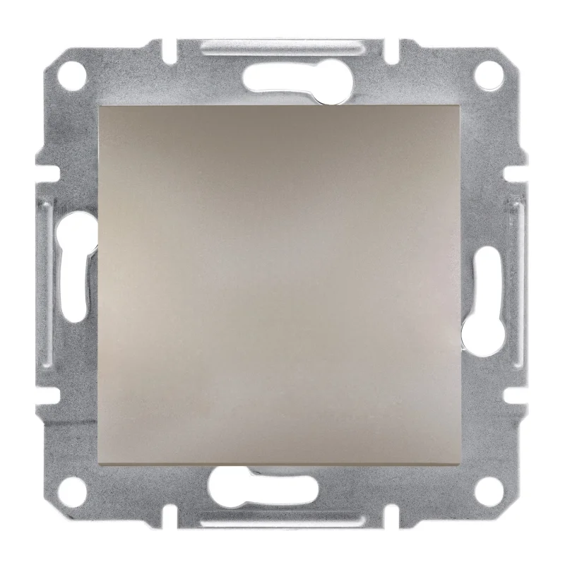 Празен модул без рамка Бронз - SCHNEIDER ELECTRIC Asfora EPH5600169