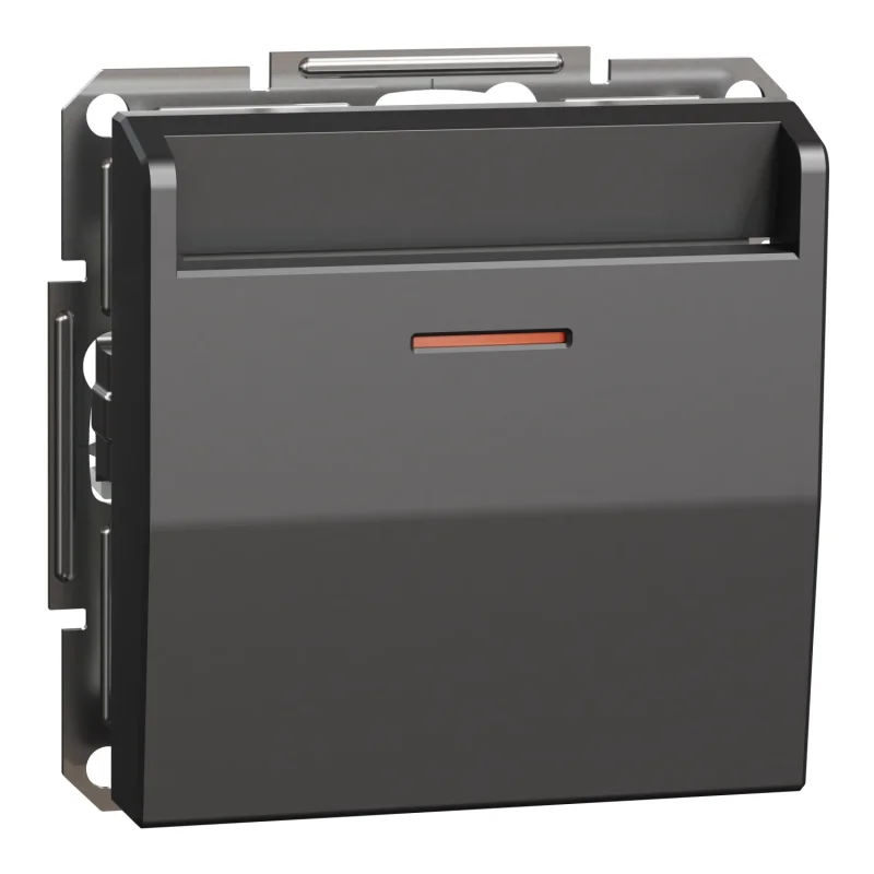Schneider Electric Switch-card 10A Anthracite - Schneider Electric Asfora EPH6200171