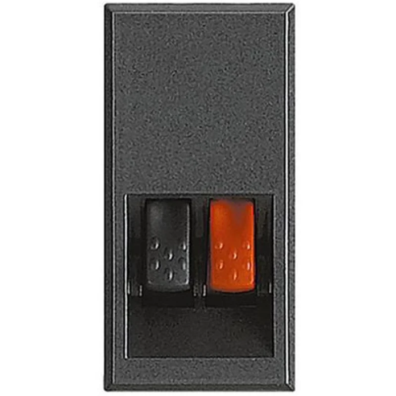 Socket with outlets for speakers 1M Anthracite - bticino Axolute HS4294