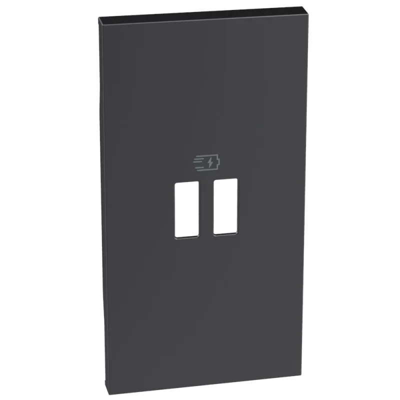 Лицев панел за Розетка USB 2М за K4293CC, K4294C Черен - bticino Living Now KG12PD