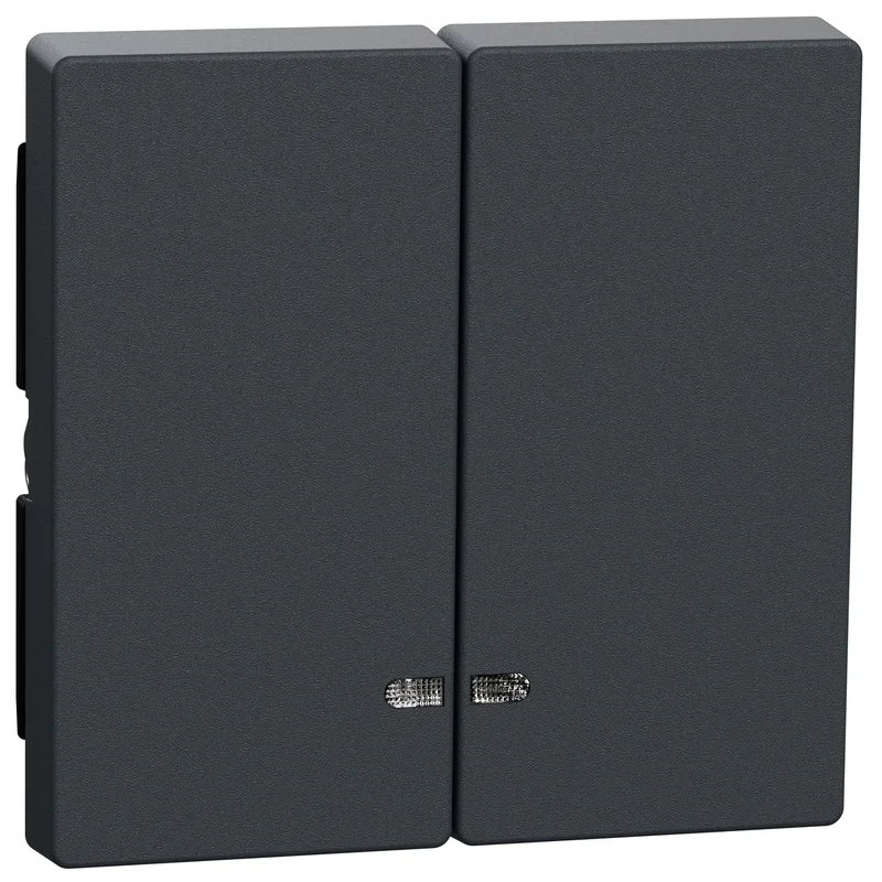 Schneider Electric Face plate for switch/push button with indicator lamp Anthracite System M - Schneider Electric Merten System M MEG3420-0414