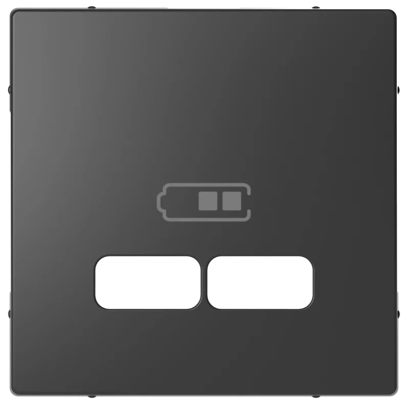 Schneider Electric Face plate for double outlet USB A+A - 2.1 A Anthracite System Design - SCHNEIDER ELECTRIC Merten System Design MEG4367-6034