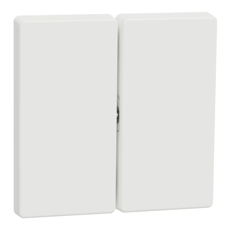 Face plate for double switch White matt System Design - SCHNEIDER ELECTRIC Merten System Design MTN3400-6037