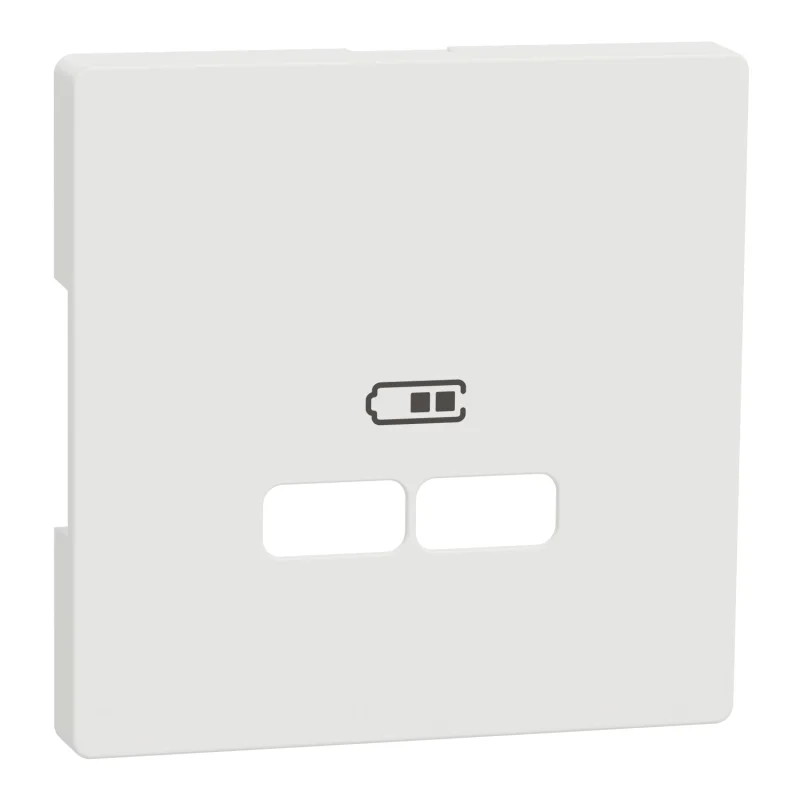 Face plate for double outlet USB A+A - 2.1 A White matt System System Design - SCHNEIDER ELECTRIC Merten System Design MTN4367-6037