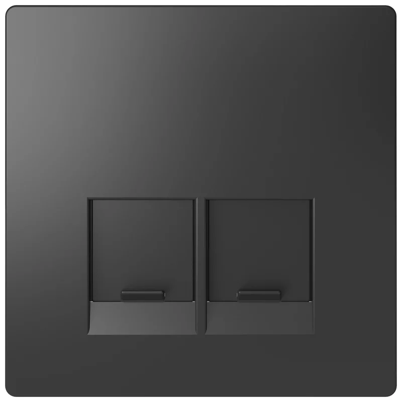 Schneider Electric Face plate for outlet 2x RJ45 colour Anthracite System Design /while stocks last/ - Schneider Electric Merten System Design MTN4572-6034