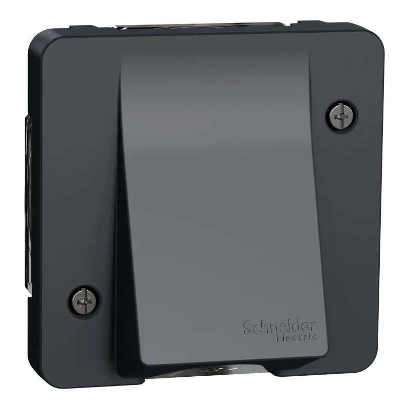 Schneider Electric Твърда връзка механизъм IP55 Антрацит - SCHNEIDER ELECTRIC Mureva Styl MUR37931