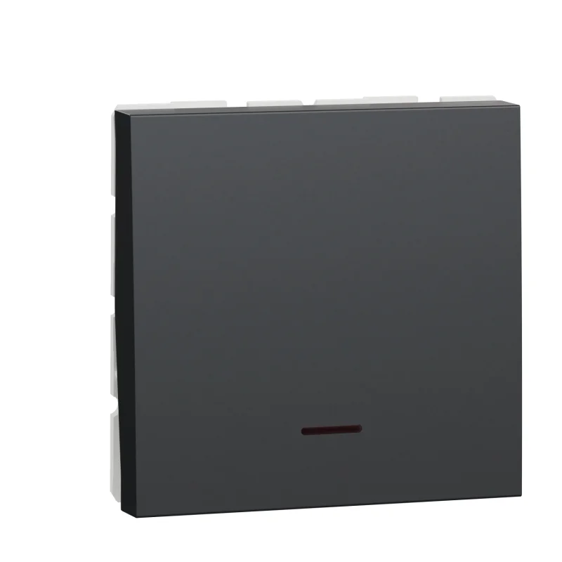Schneider Electric Double-pole switch with luminous indicator 30A, 2M, anthracite - SCHNEIDER ELECTRIC New Unica NU323254S
