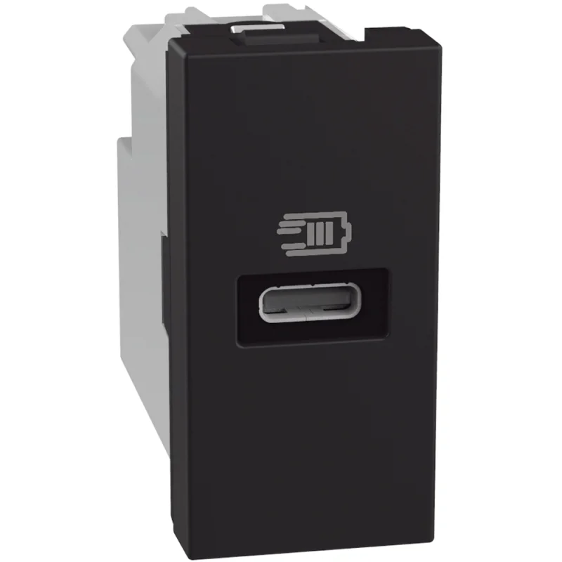 Розетка USB тип C Power Delivery 20W 1M Графит - bticino Light Now YD4192C