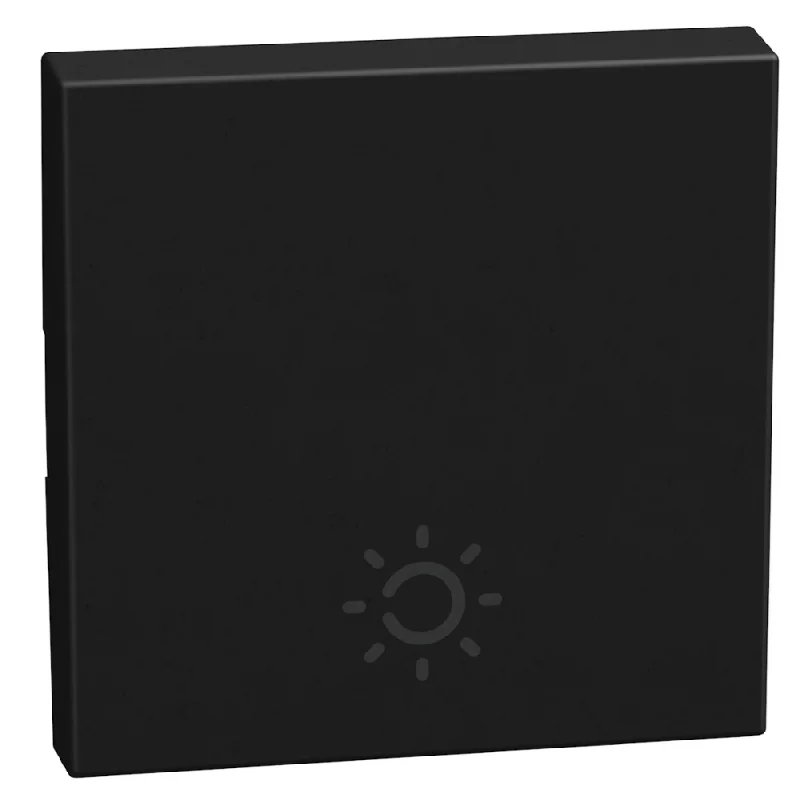 bticino Face plate symbol lighting 2M Graphite - bticino Light Now YD4915AM2