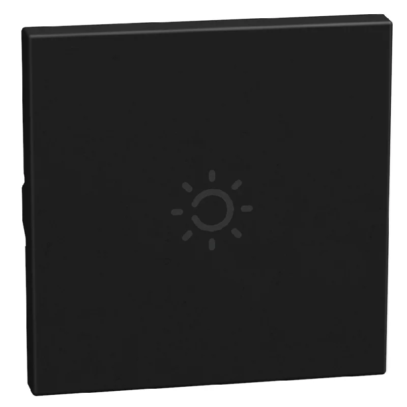 bticino Face plate for axial mechanism symbol lighting 2M Graphite - bticino Light Now YD4916AM2