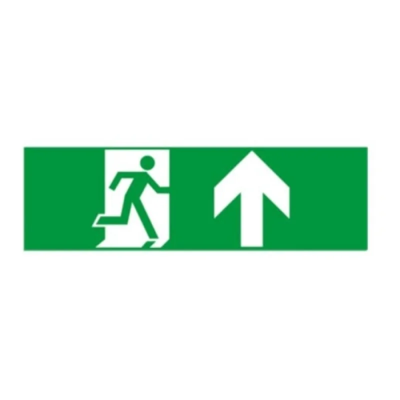 Eme HAPES260 – ACA Lighting LED emergency luminaire in white, 1X2W, 6000K, IP20