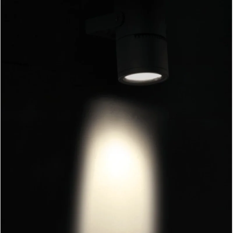 ACA Lighting LG2101G – LED facade floodlight with spike light in-ground in anthracite, 1X9W, 3000K