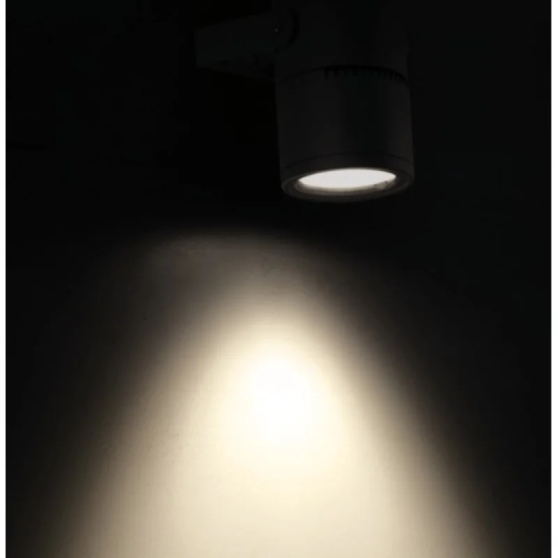 ACA Lighting LG2101G – LED facade floodlight with spike light in-ground in anthracite, 1X9W, 3000K