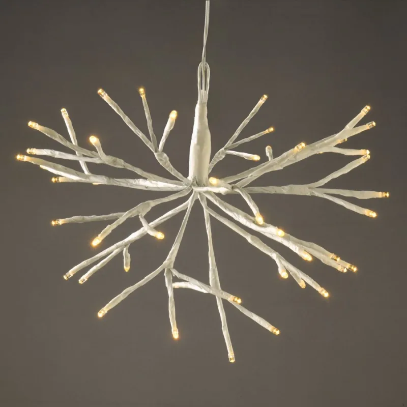 Christmas lighting Branch Lights XPBALWW302A – ACA Lighting hanging LED decoration, 48 LED, warm white, battery 3×AA, IP44